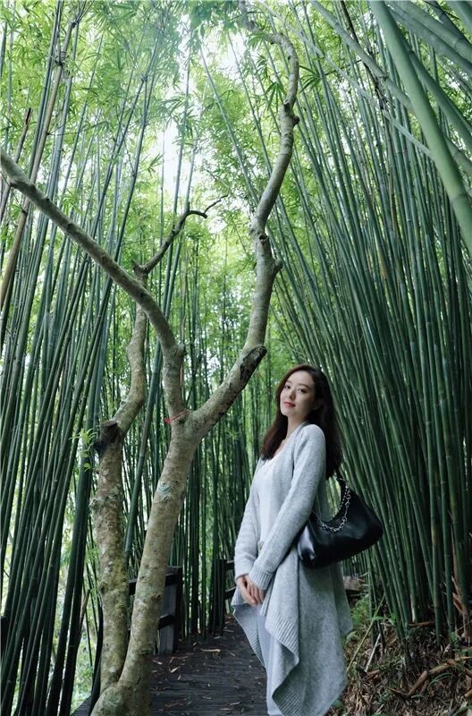 1775182632842906.jpg 微信图片_2026-04-03_101434_646.jpg