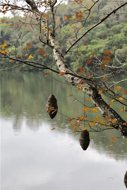 1775182647154785.jpg 微信图片_2026-04-03_101437_439.jpg