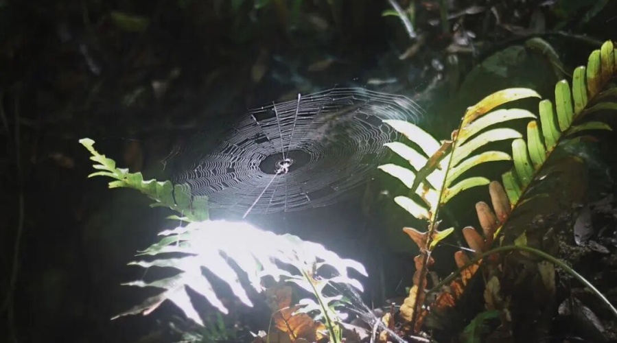 1775197669135119.jpg 微信图片_2026-04-03_142346_180.jpg