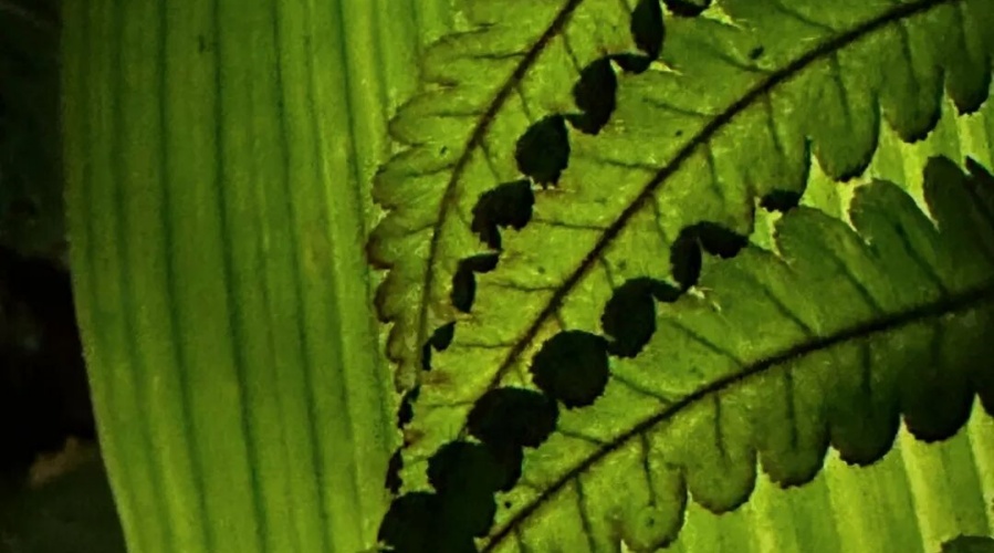 1775197726179485.jpg 微信图片_2026-04-03_142349_790.jpg