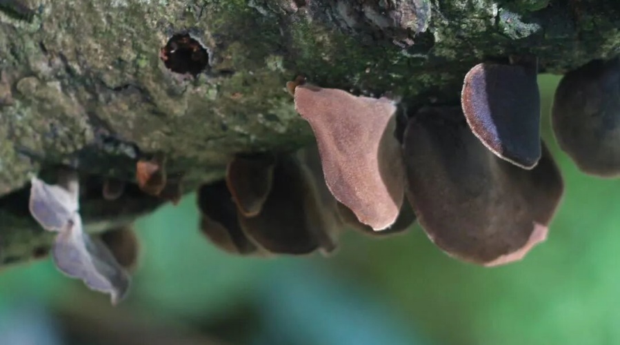 1775197759135020.jpg 微信图片_2026-04-03_142353_328.jpg