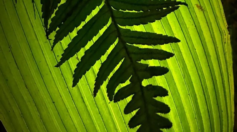 1775197798548052.jpg 微信图片_2026-04-03_142401_911.jpg