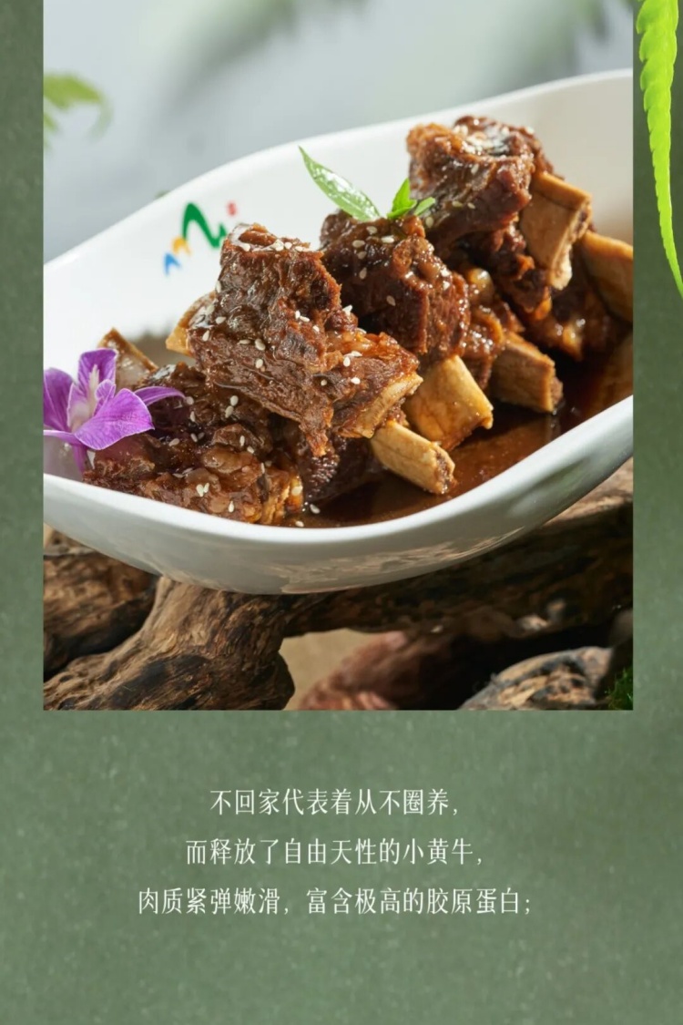 1775198397175483.jpg 6.jpg