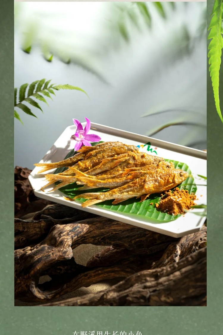 1775198437511217.jpg 8.jpg