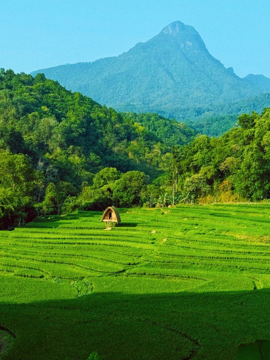 1776247859285687.jpg 微信图片_2026-04-15_180933_507.jpg